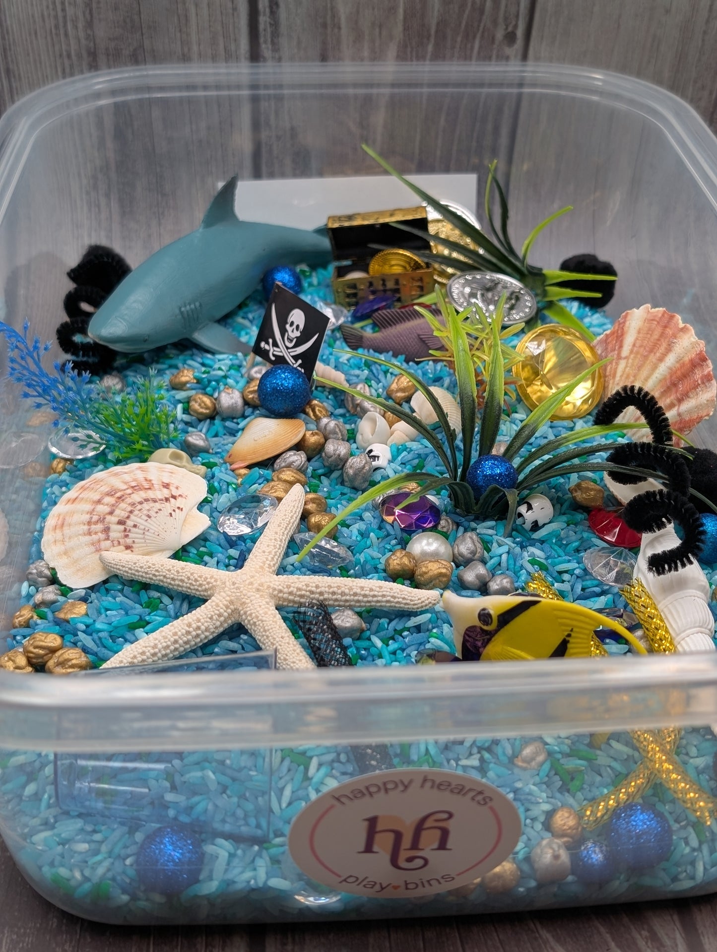 Ocean Rice Sensory