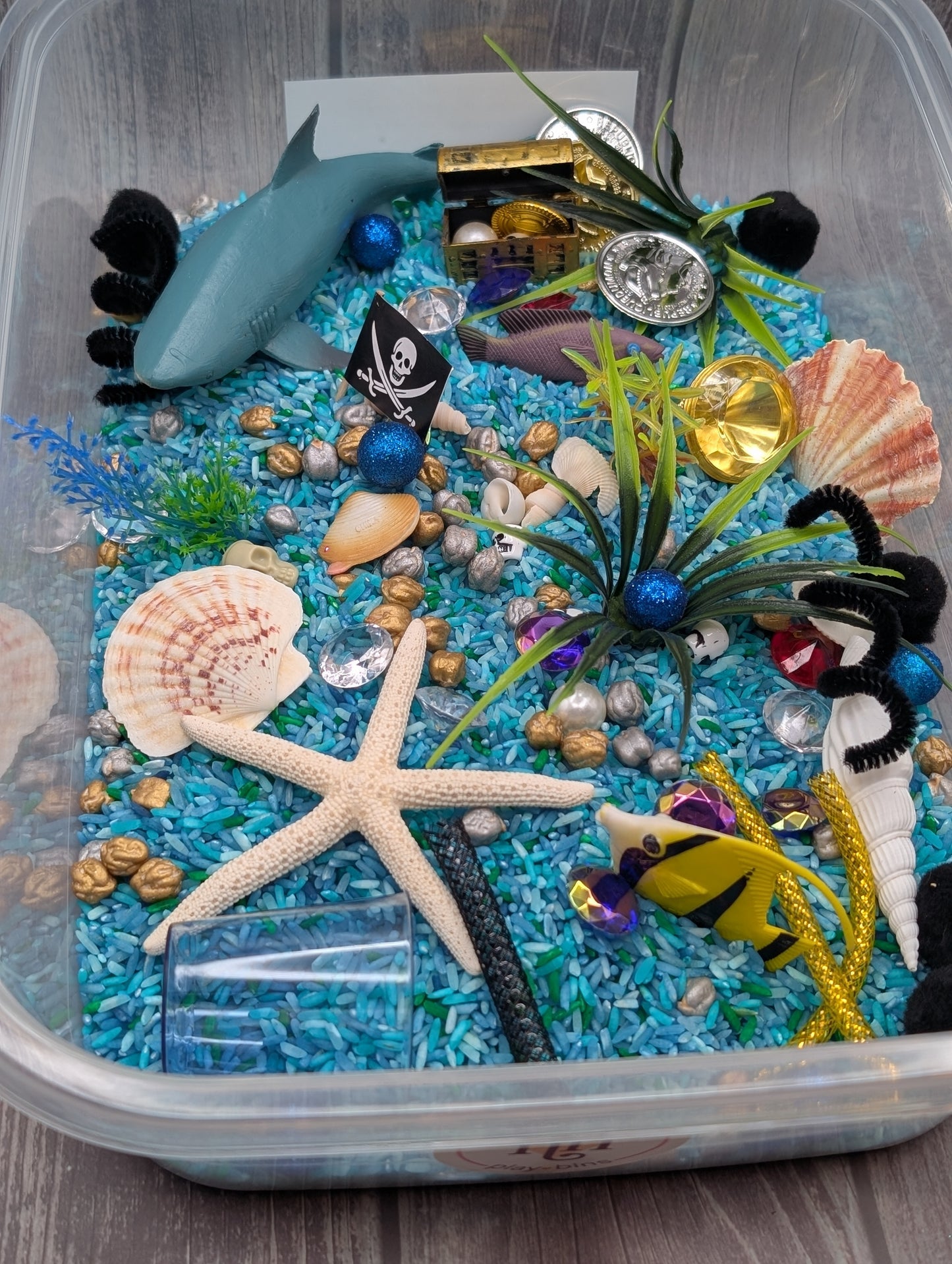 Ocean Rice Sensory