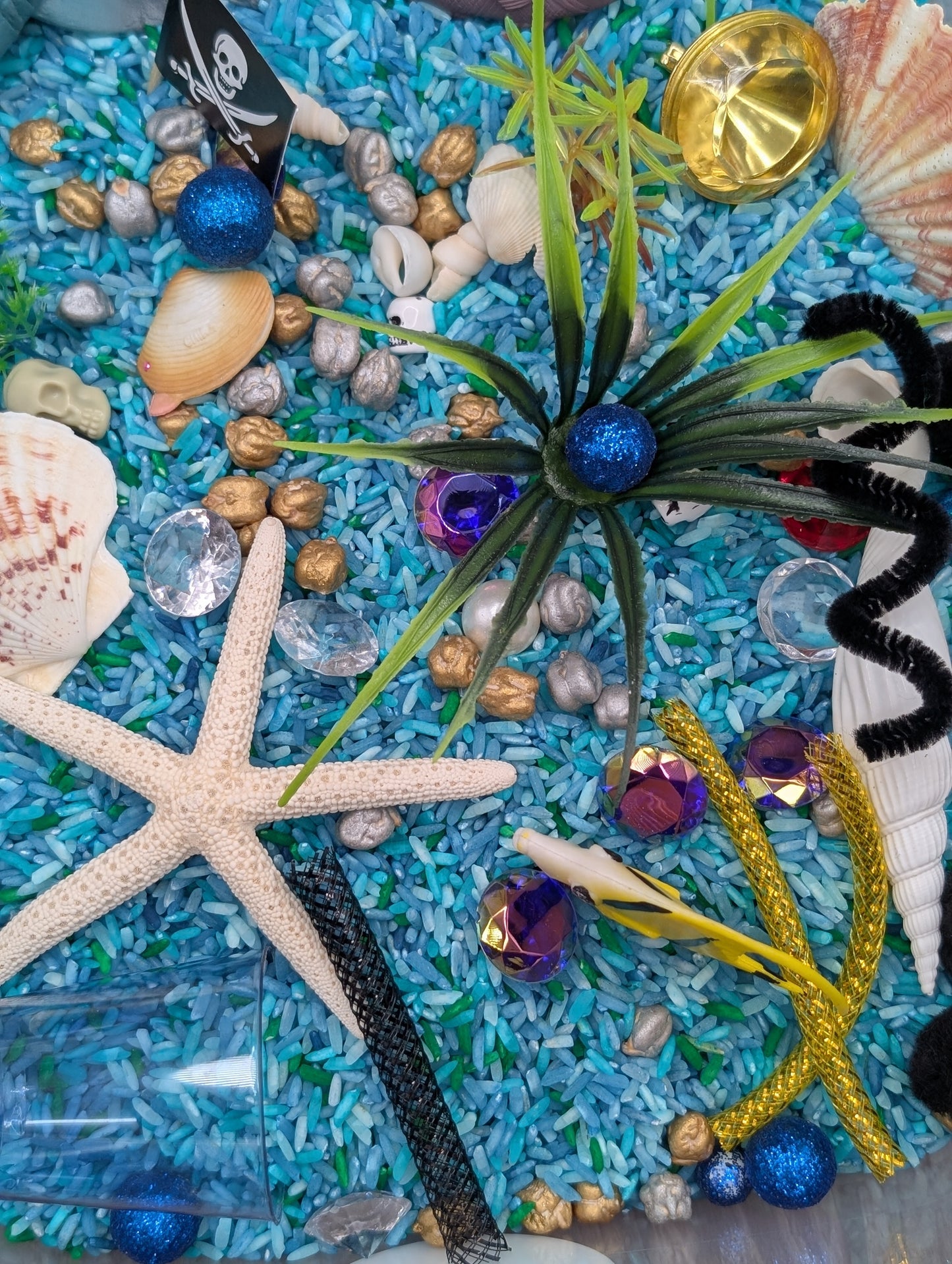 Ocean Rice Sensory