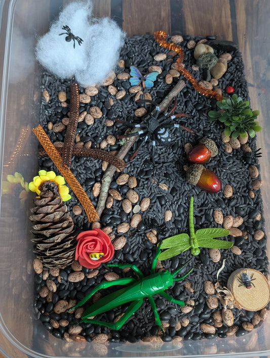 Bug Rice Sensory