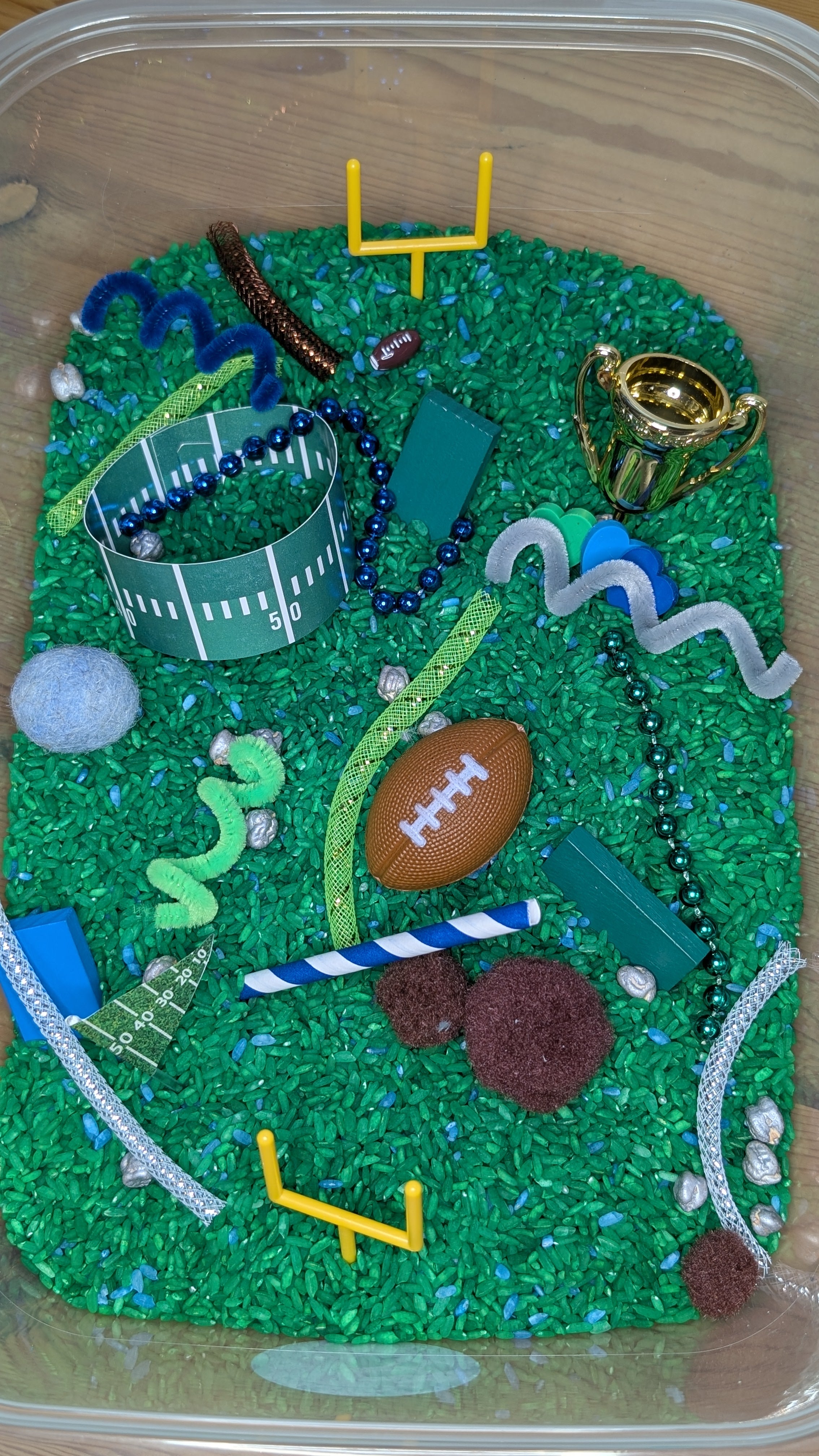 Seahawks Inspired Rice Sensory – Happy Hearts Play Bins