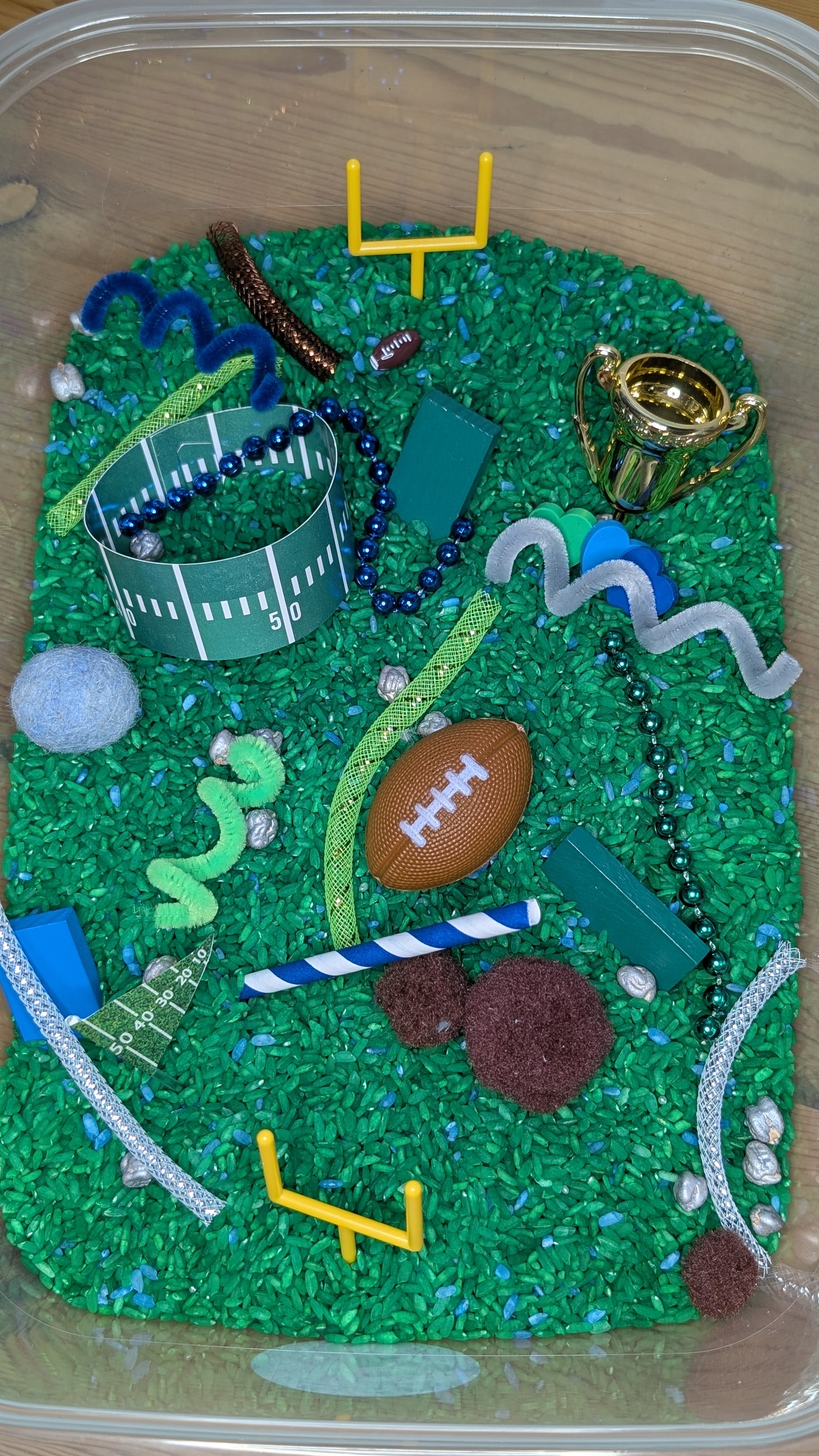 Seahawks Inspired Rice Sensory