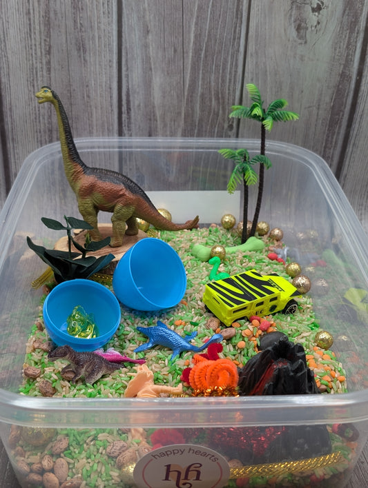 Dinosaur Rice Sensory